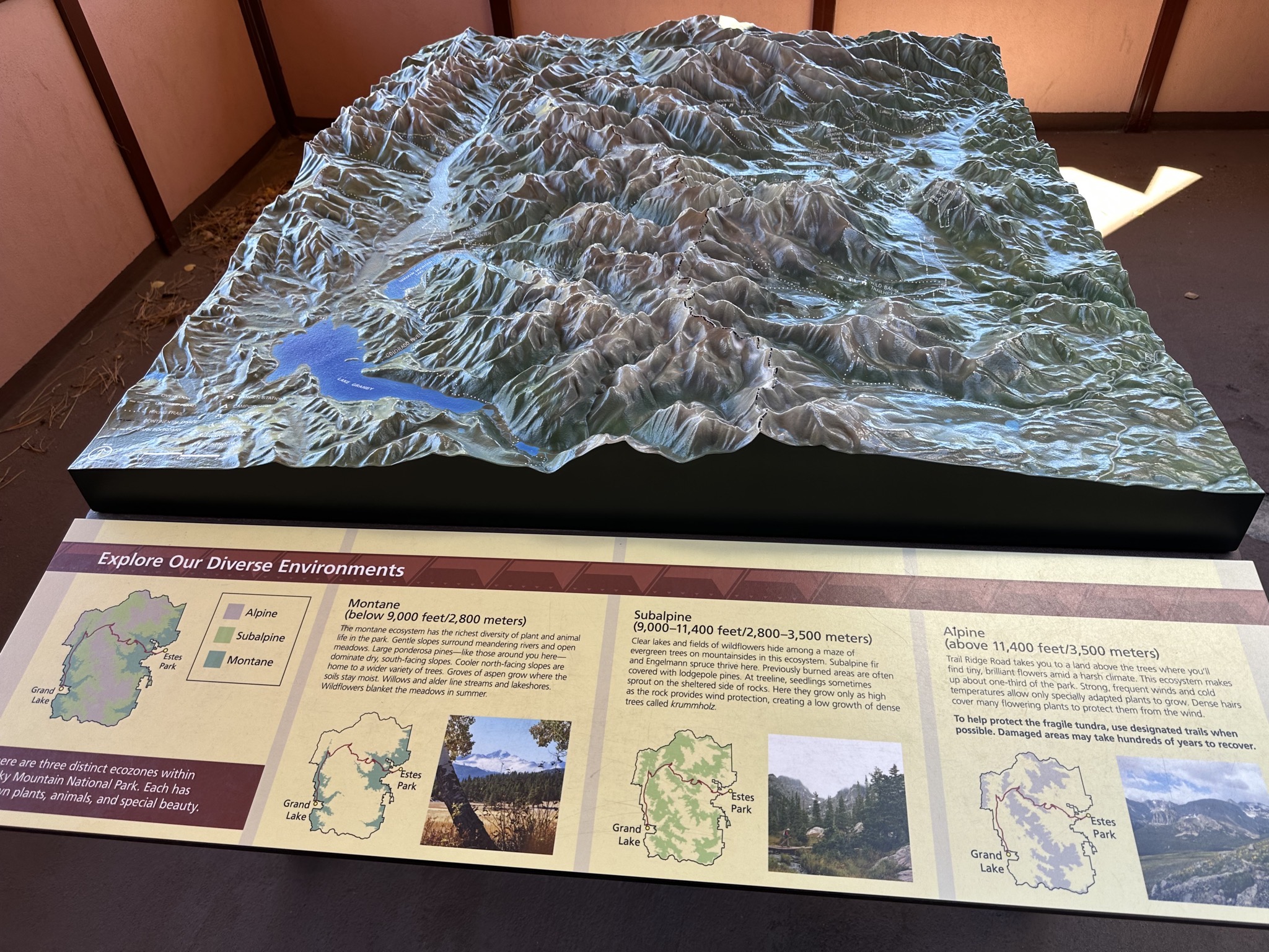 Relief map