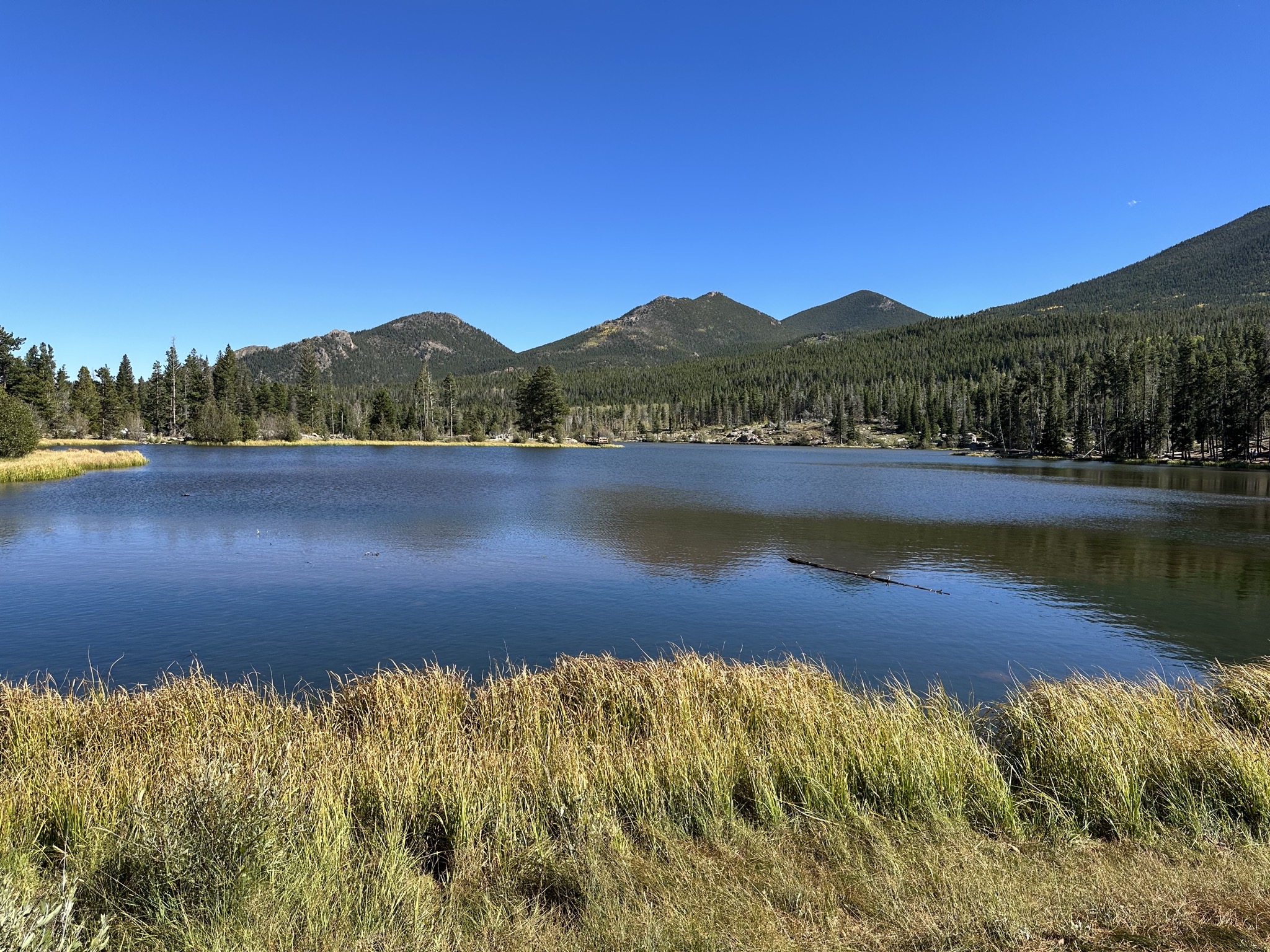 Sprague Lake