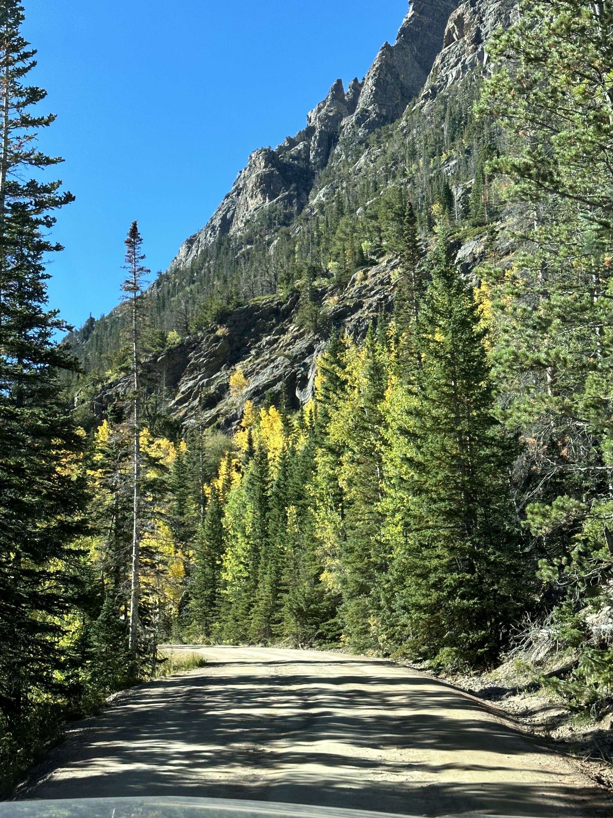 Old Fall River Road