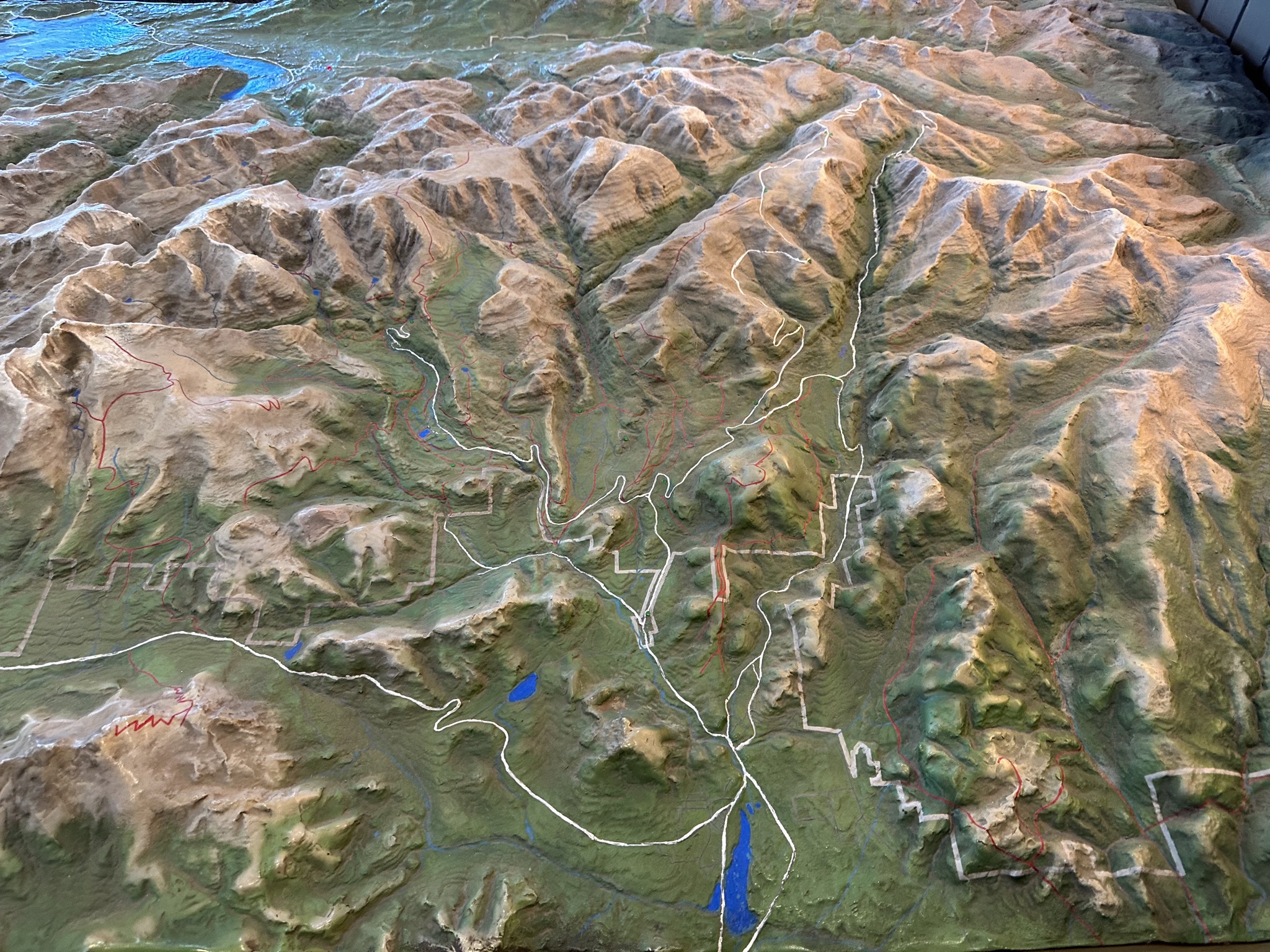 Relief map