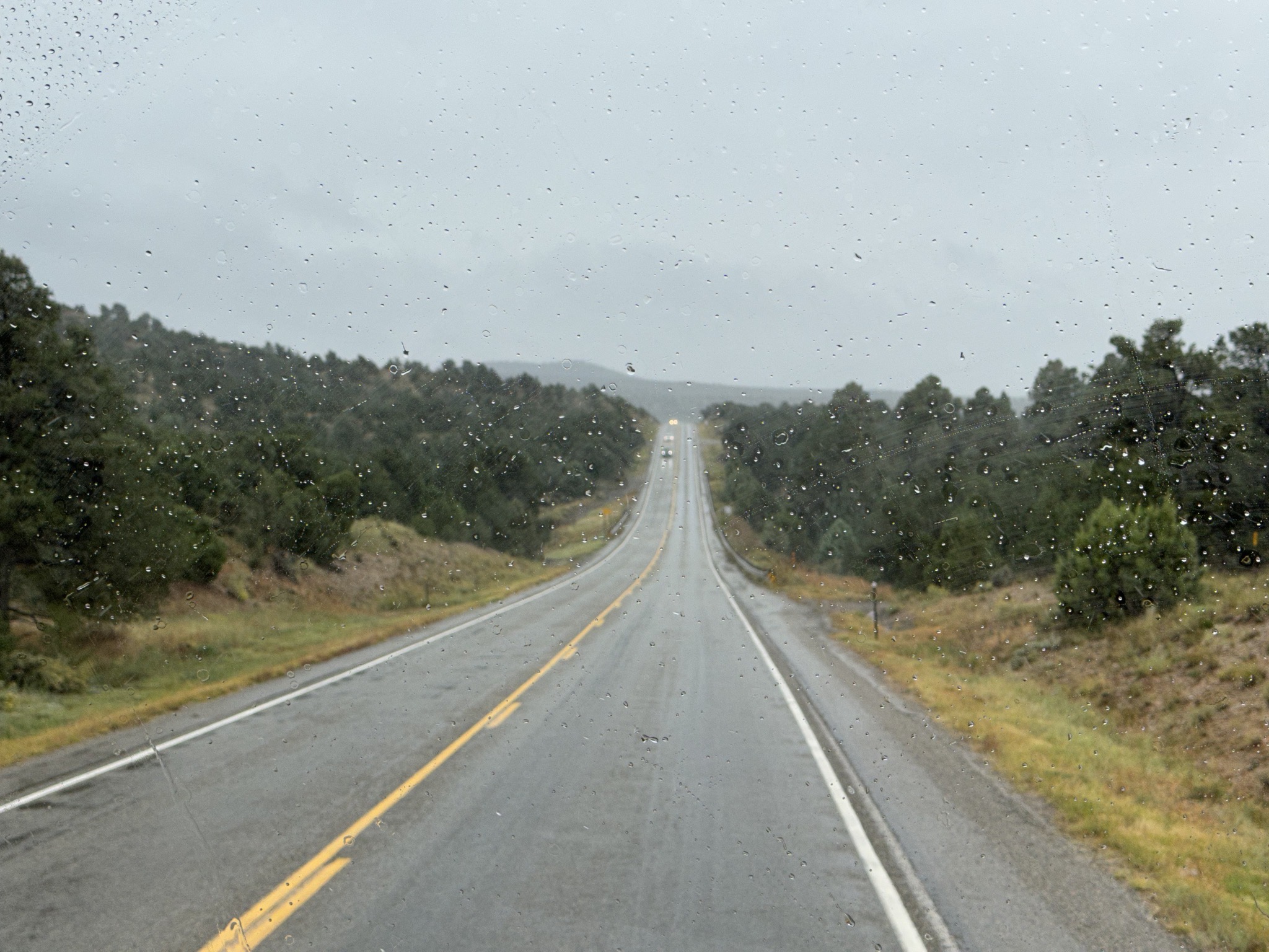 Rainy