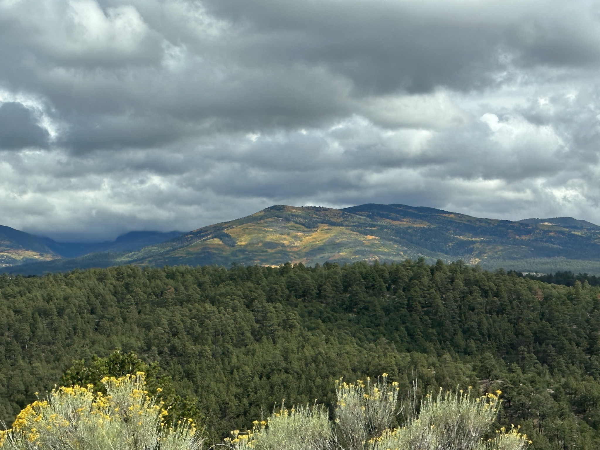Scenic drive