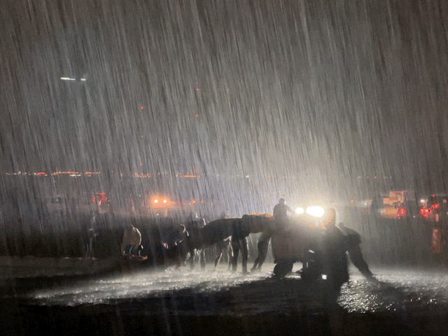 Rain