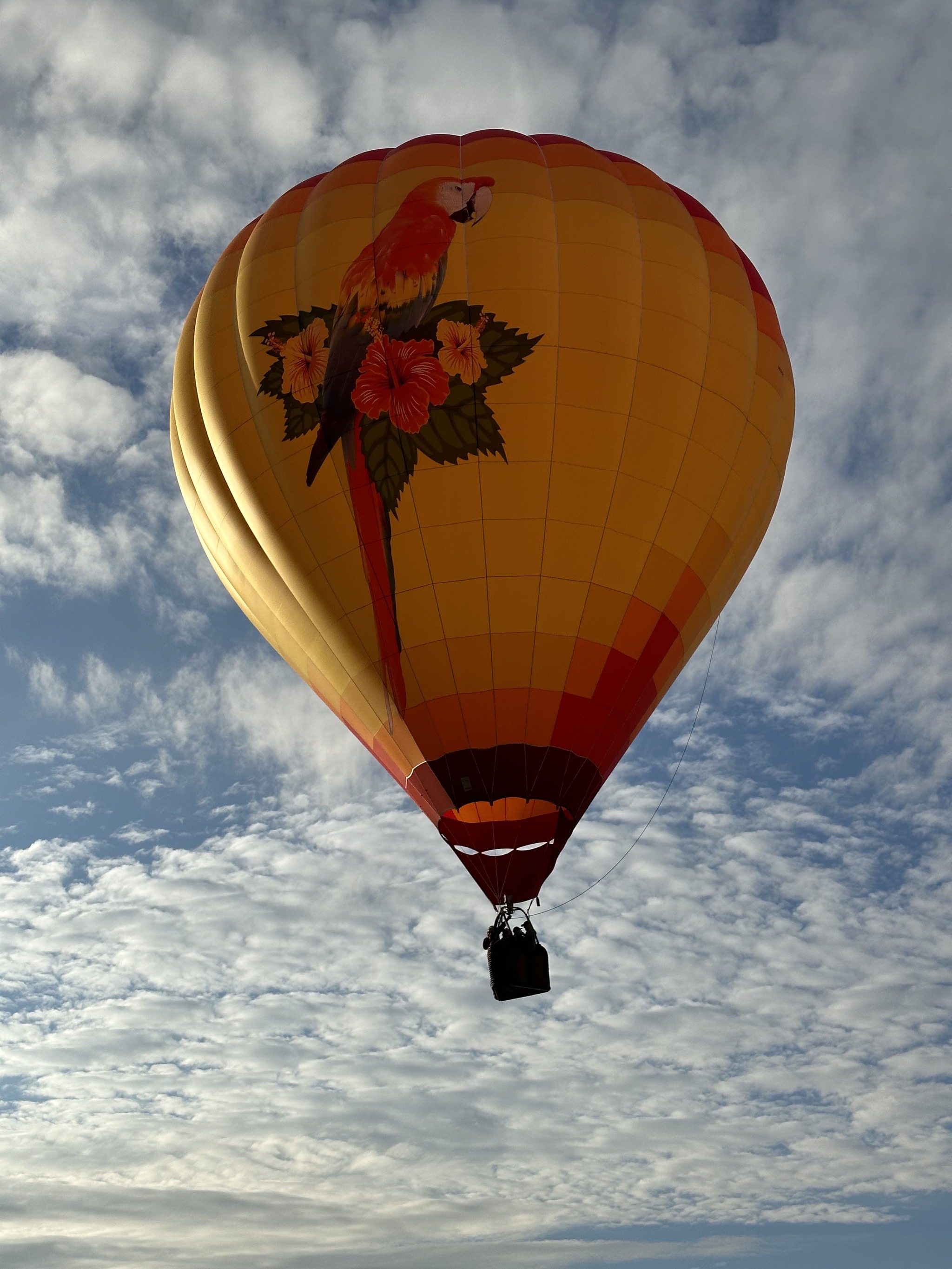Balloons