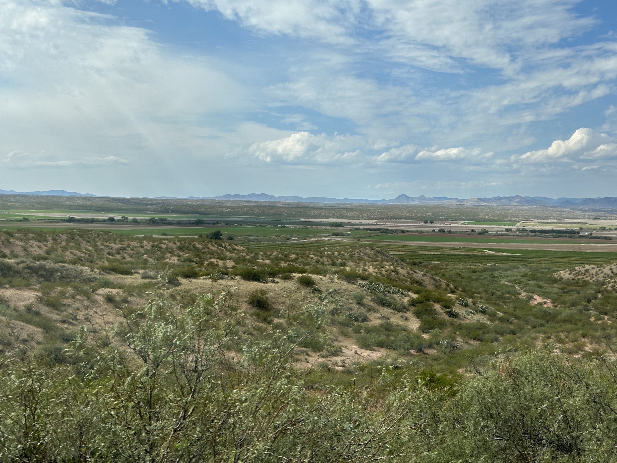 View