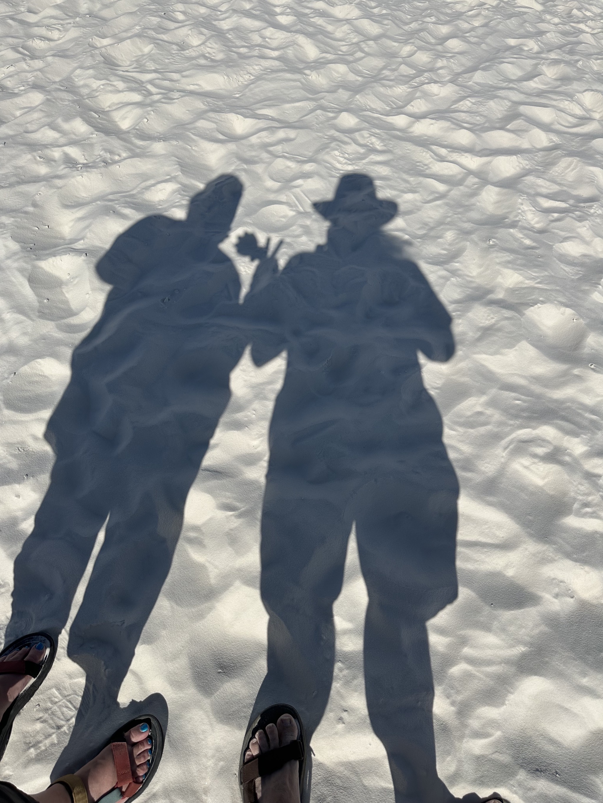 Shadows