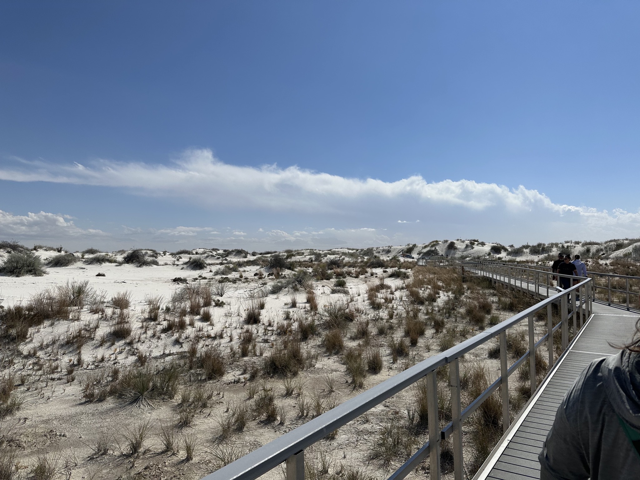 Boardwalk views