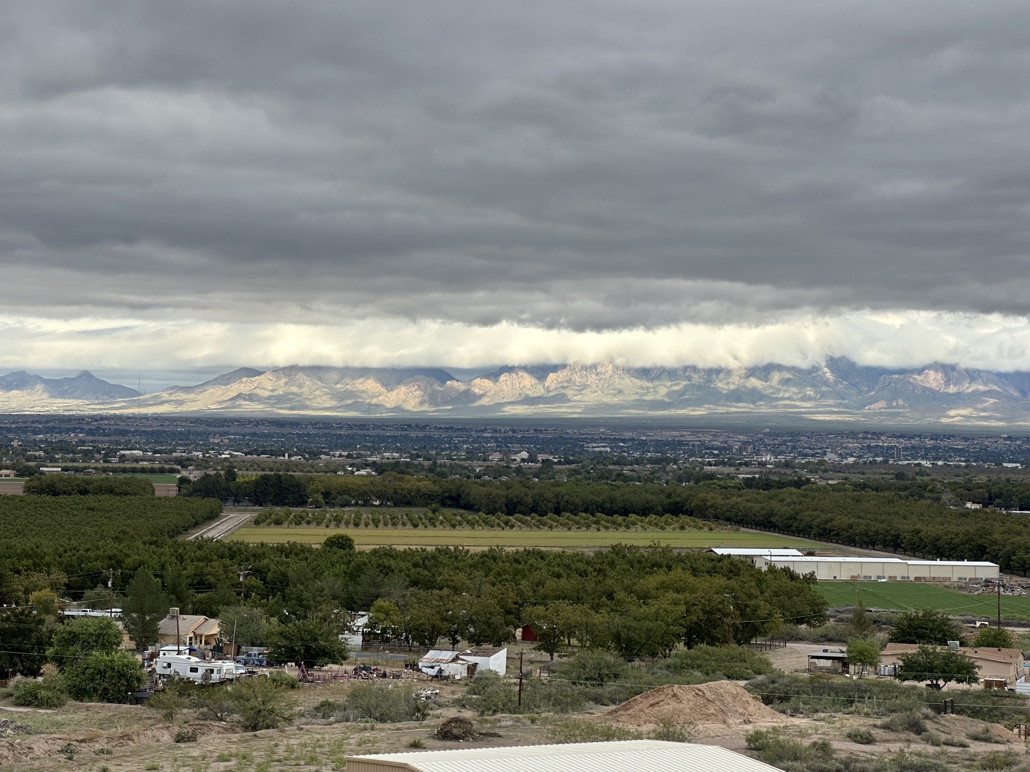 View