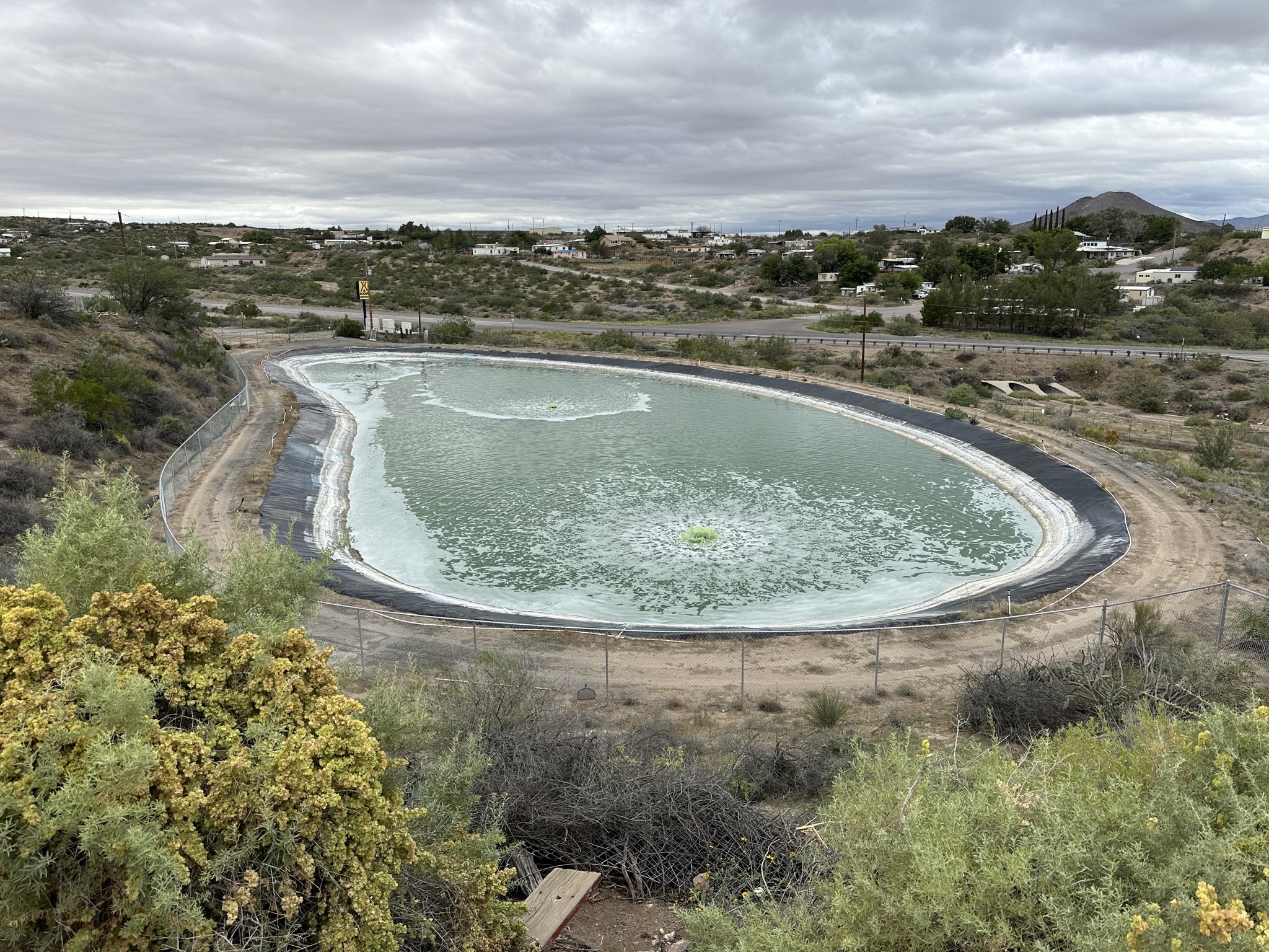 Pond