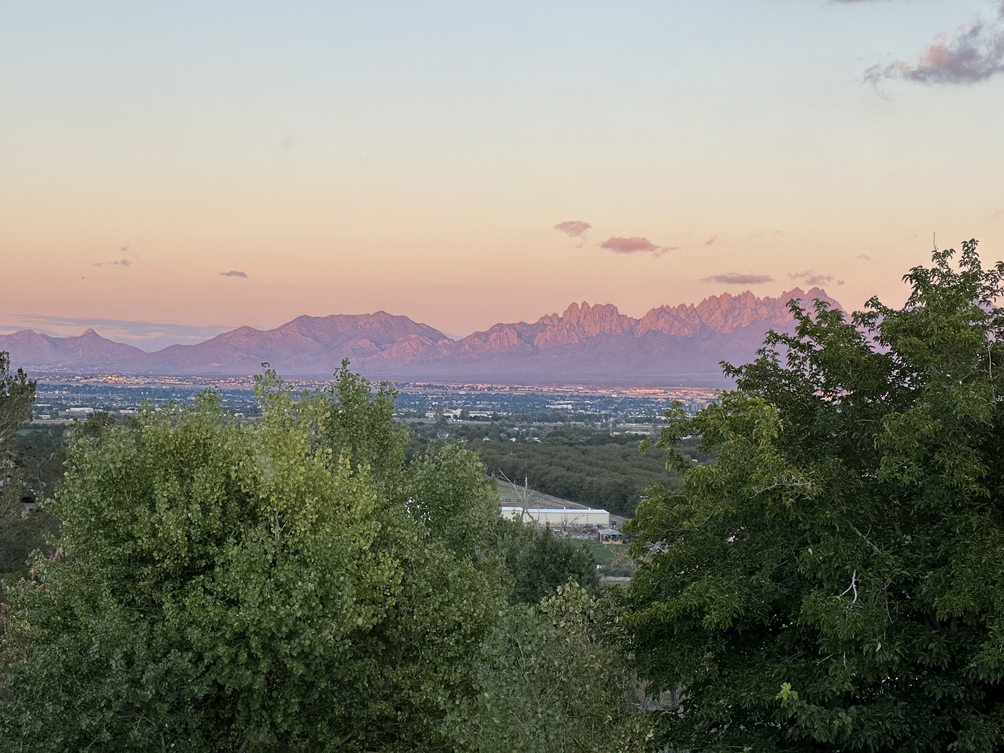 View from our site