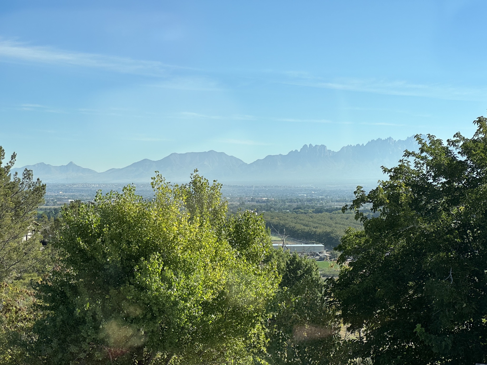 View from our site