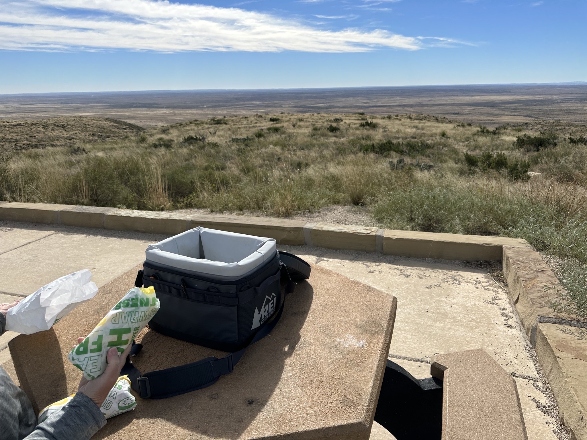 Picnic