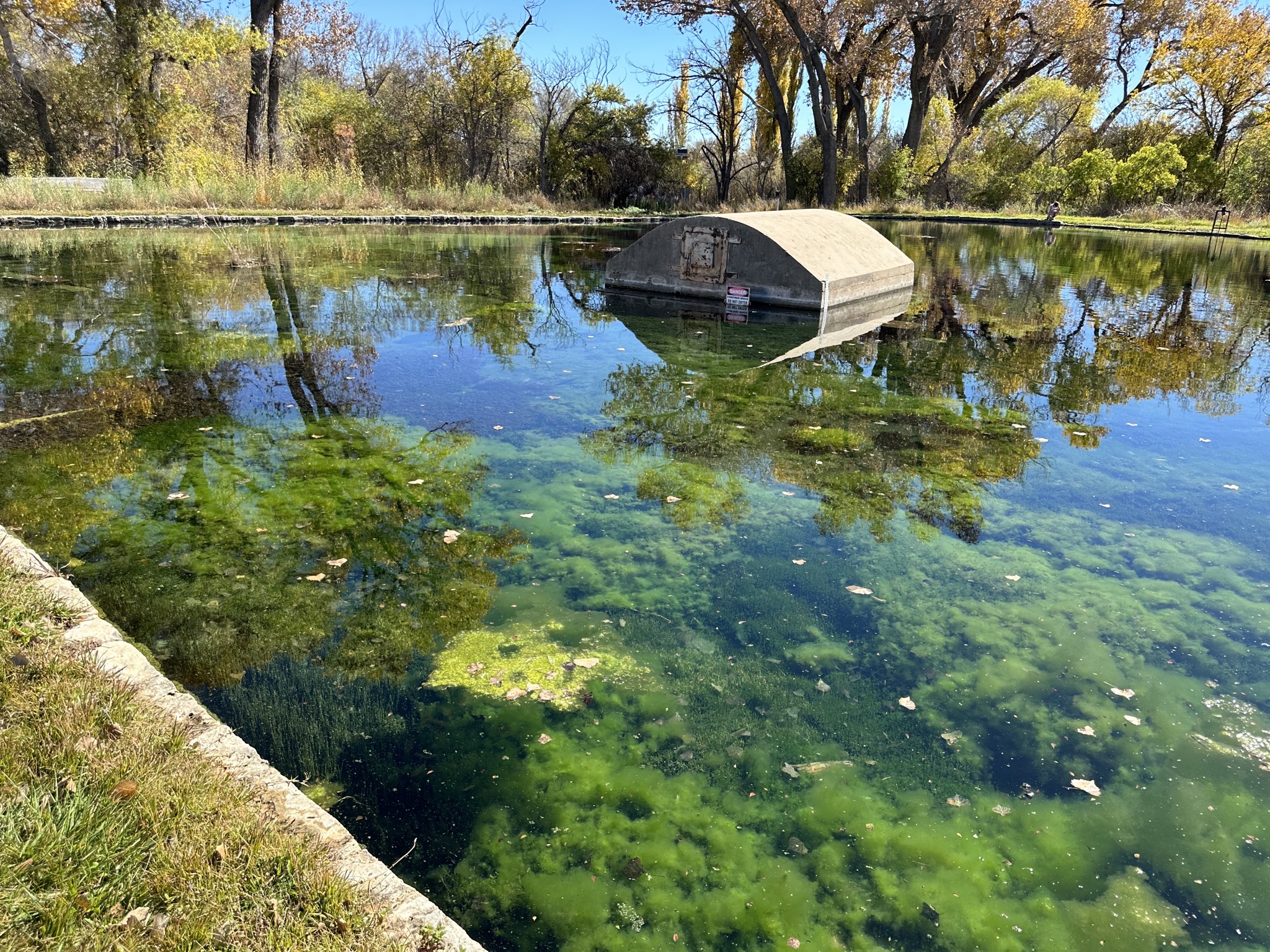 Spring pool
