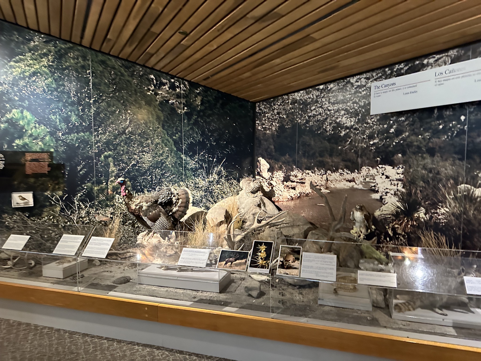 Pine Springs Visitor Center