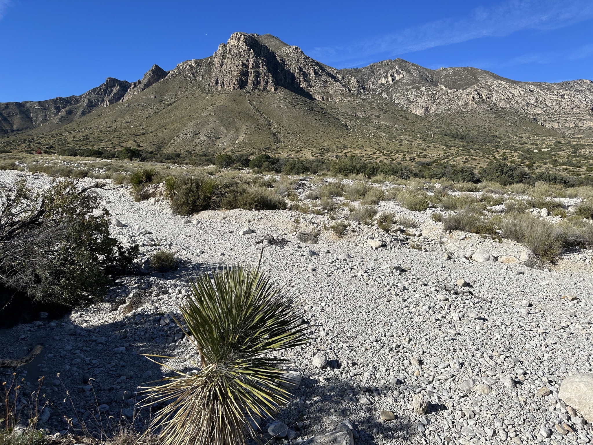 Pinery Trail