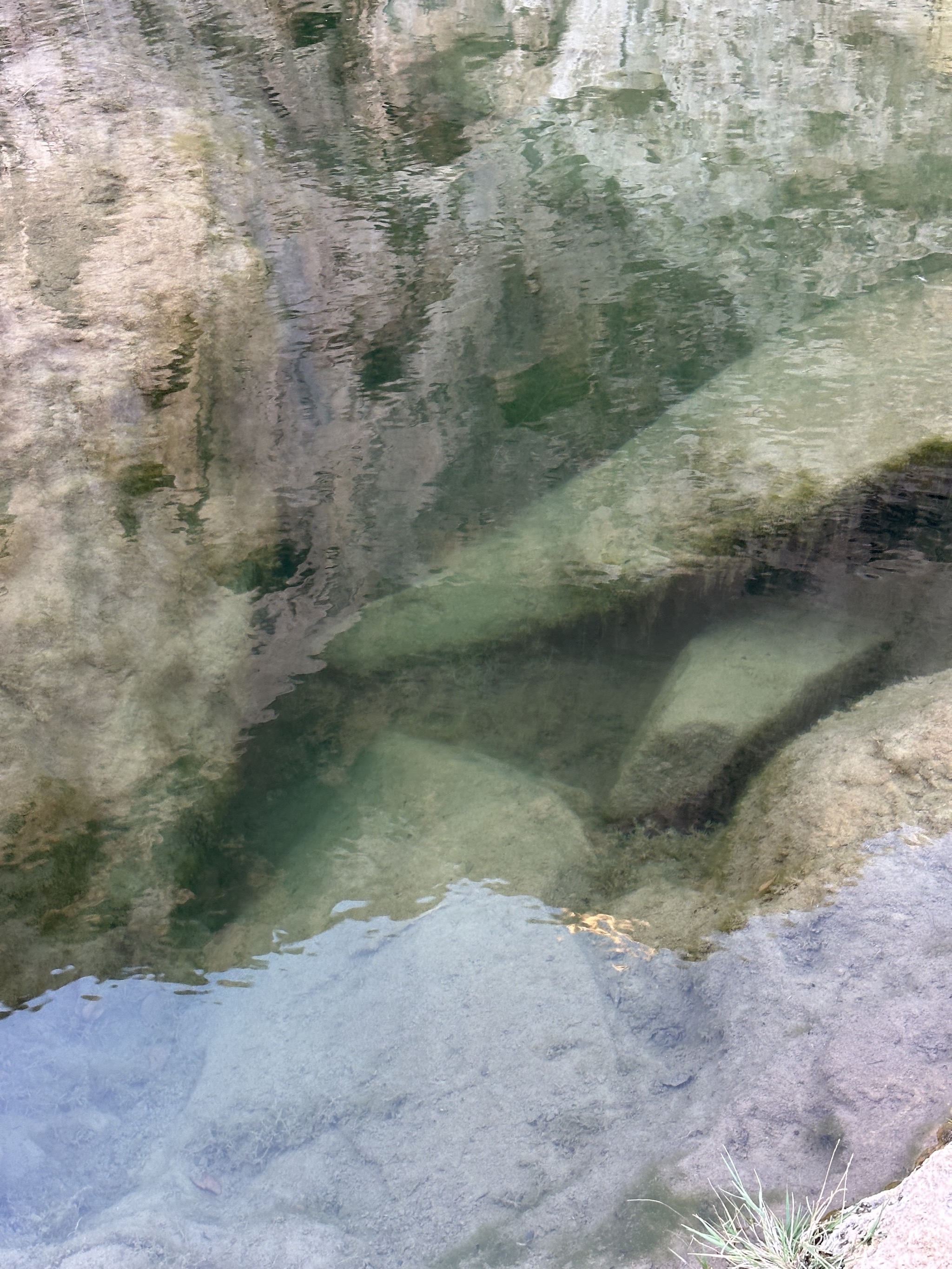 Pond