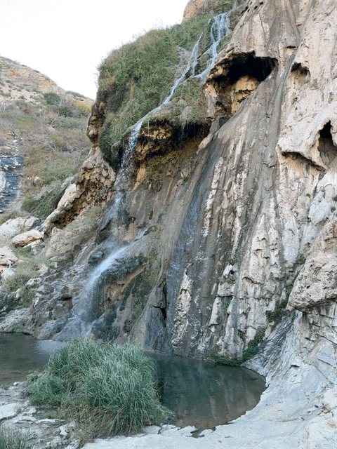 Falls
