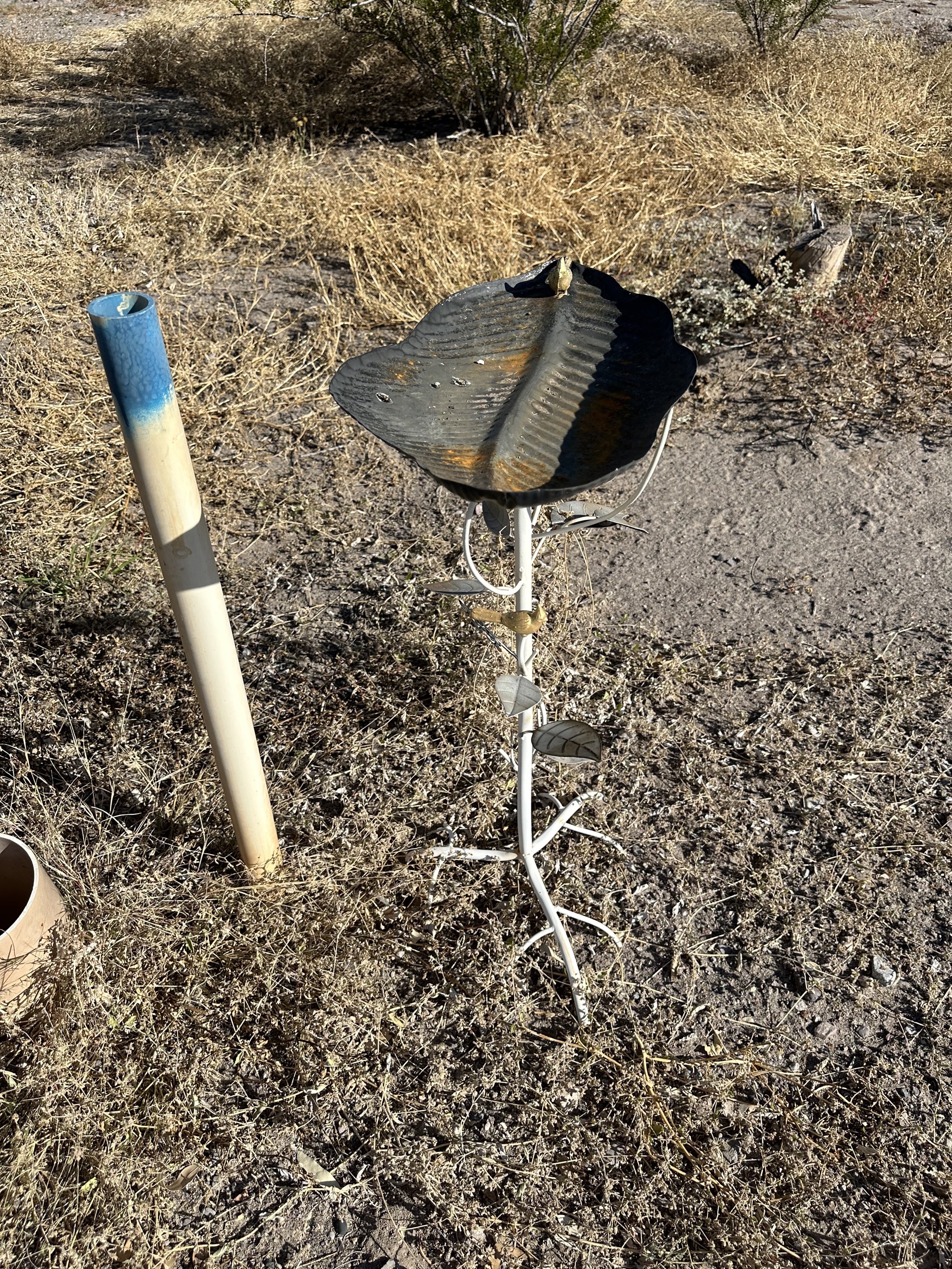 Bird feeder