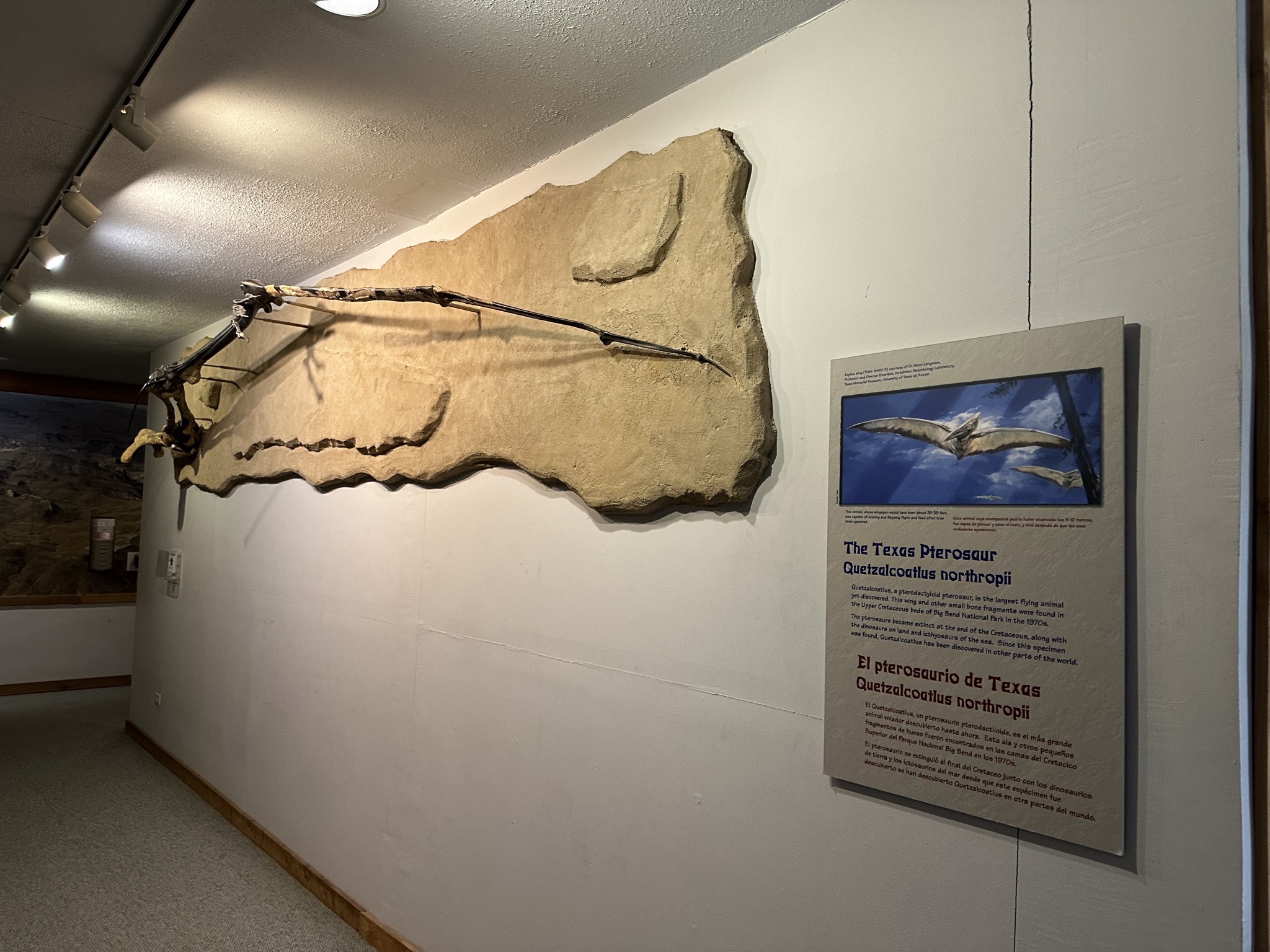 Barton Warnock Visitor Center