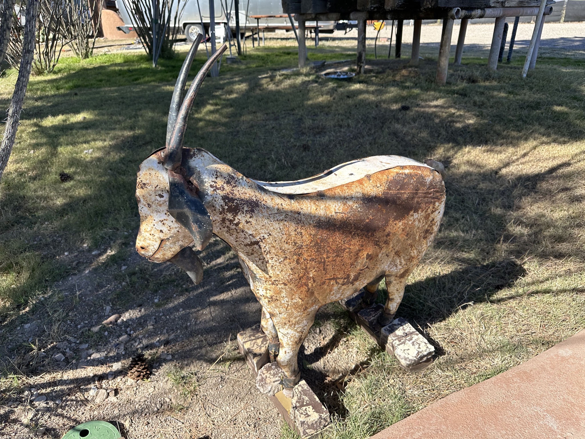 Goat artwork