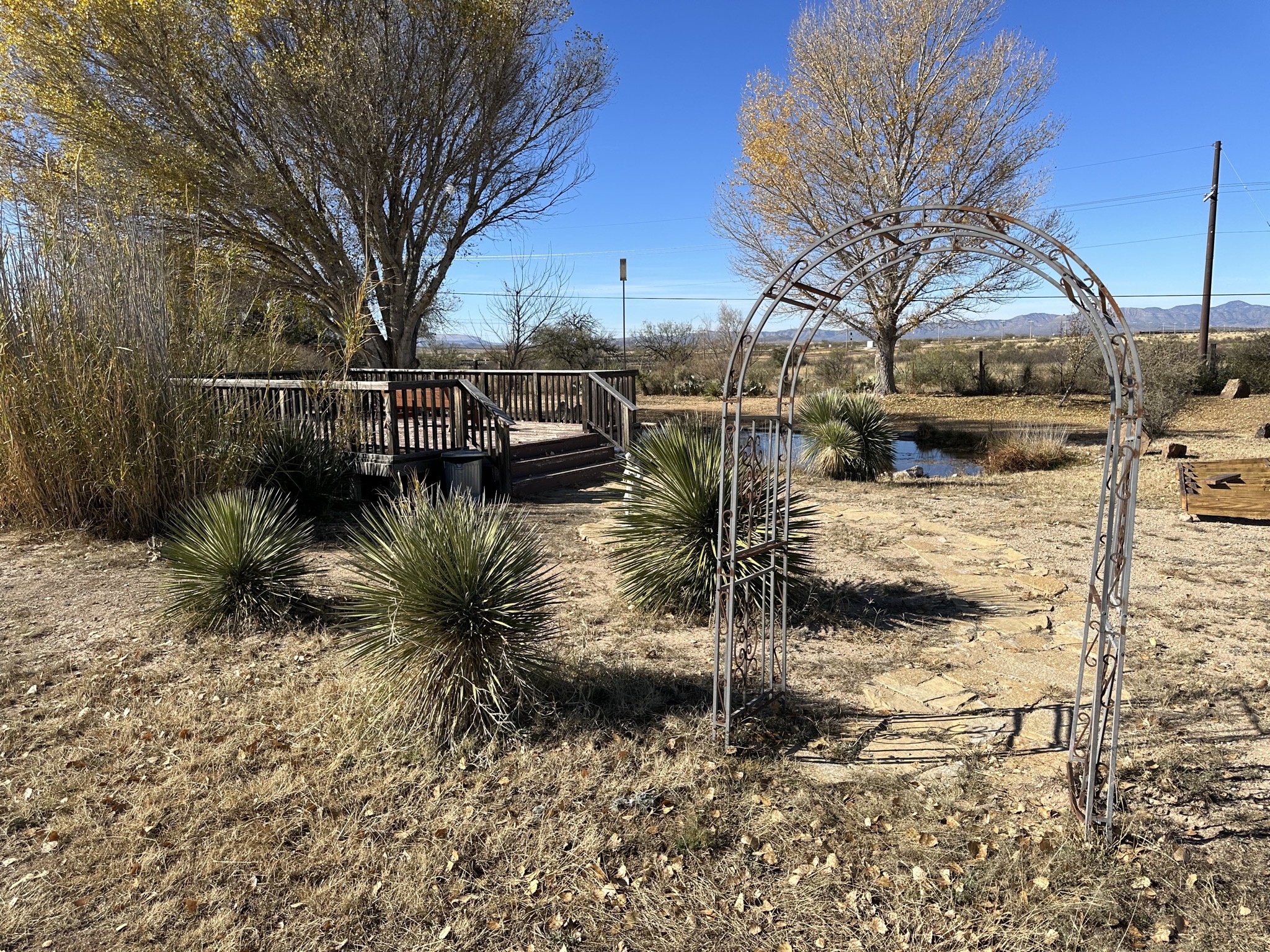 Deck, pond, garden