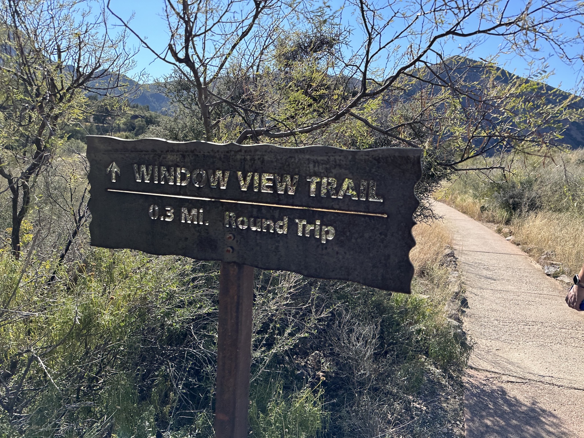 Window view trail