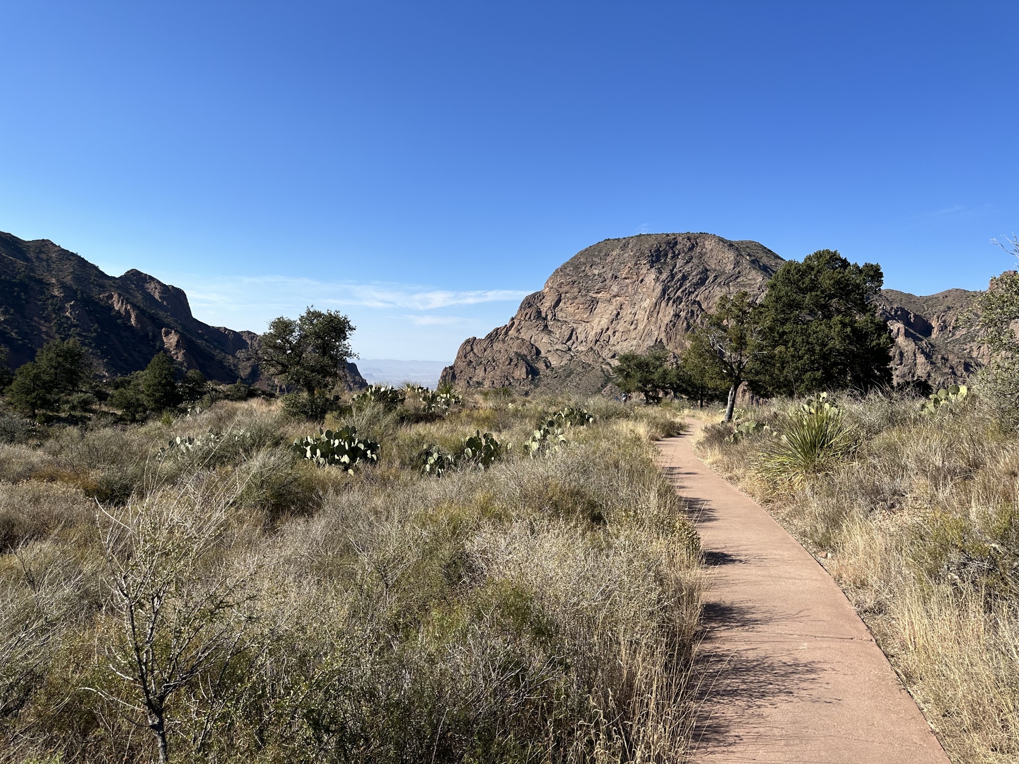 Window view trail