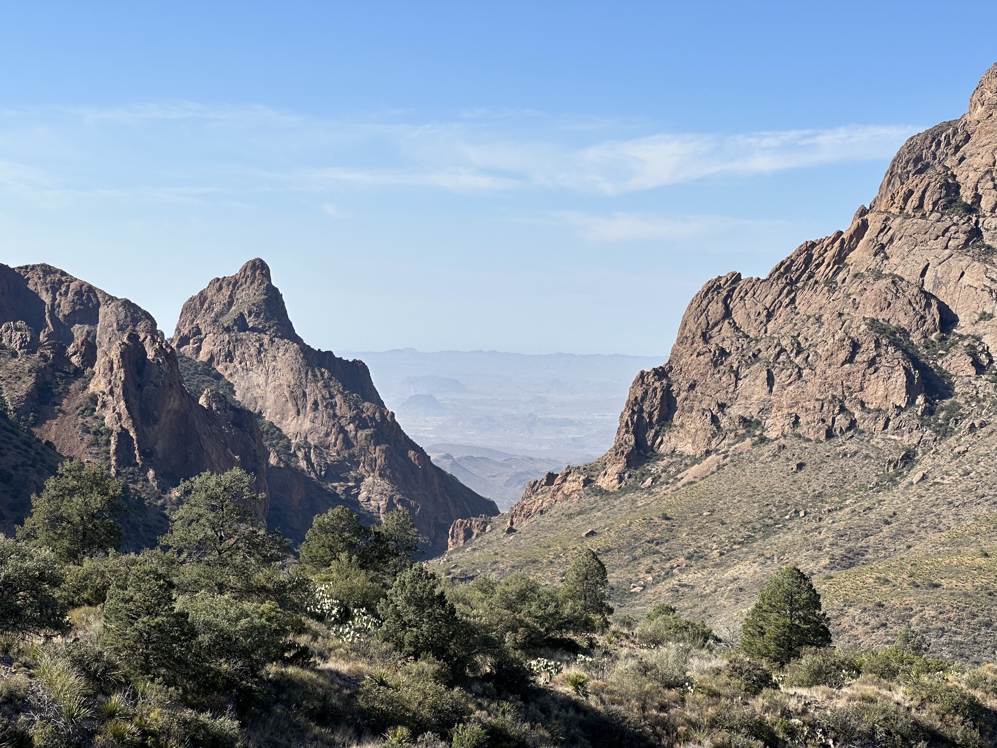 Window view trail
