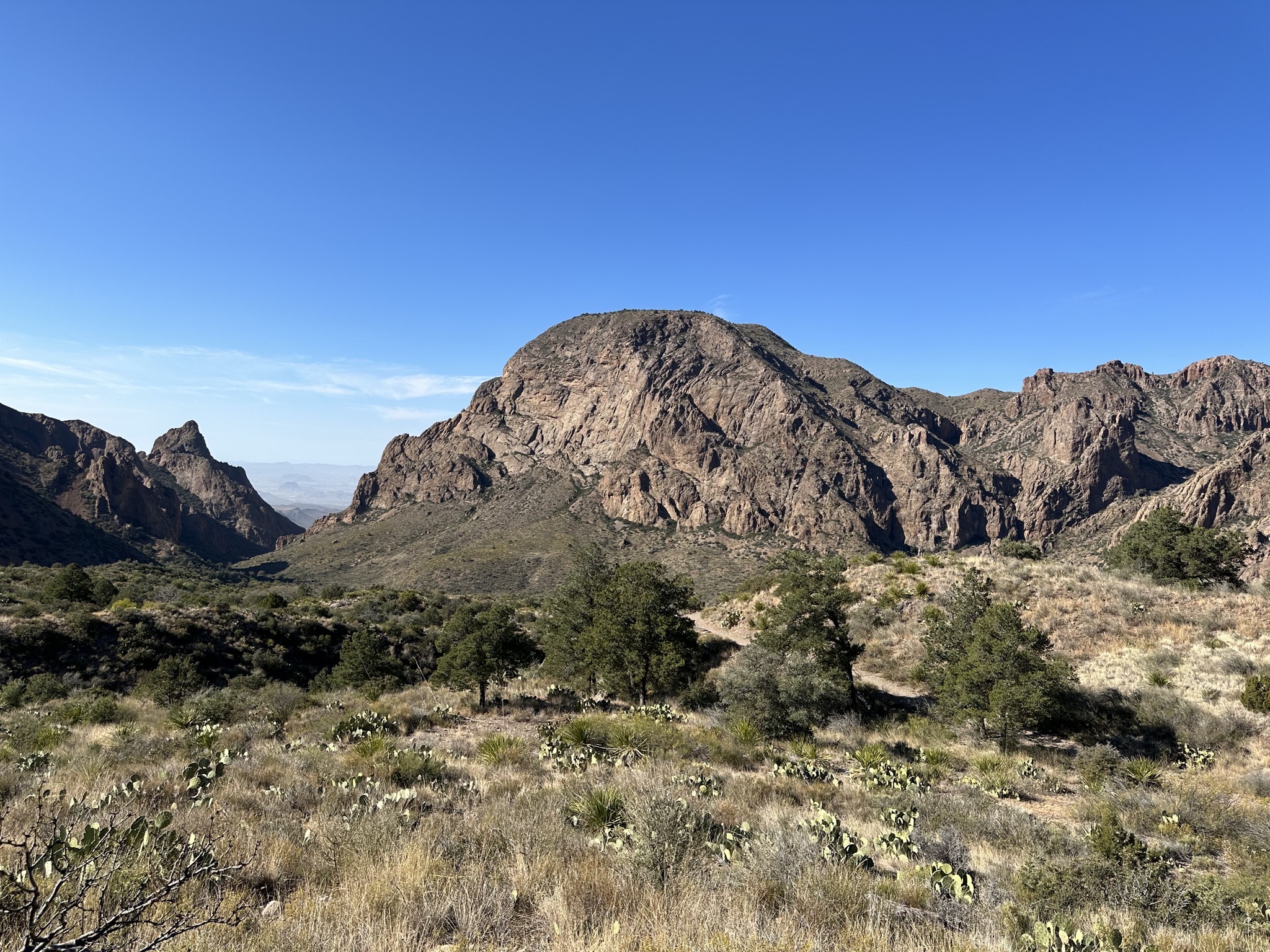 Window view trail
