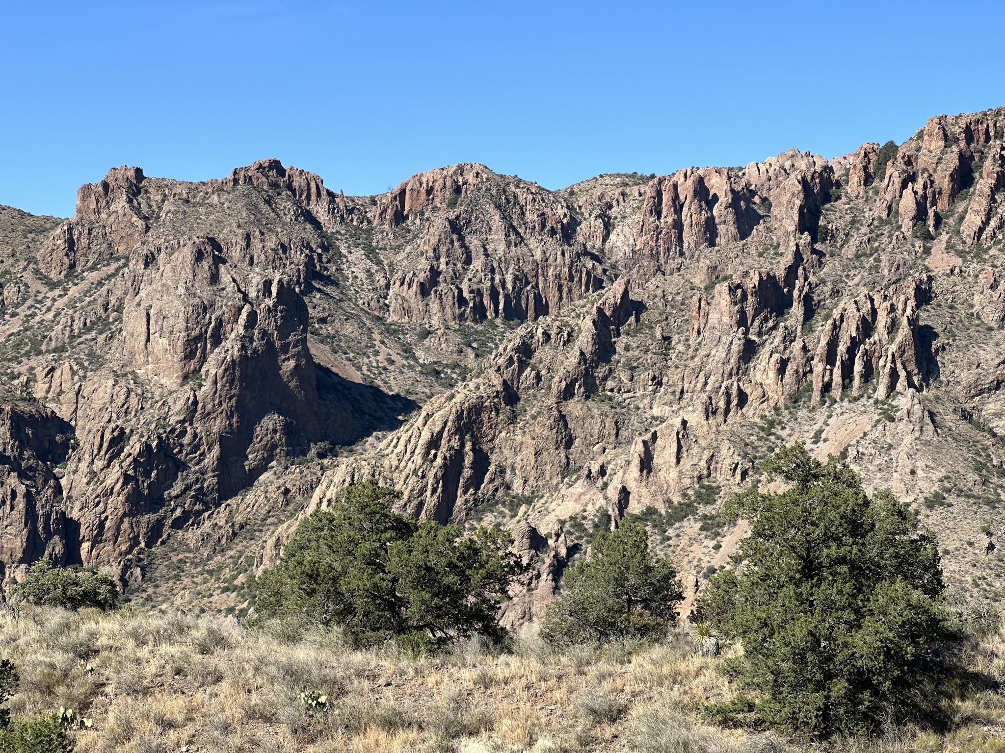 Window view trail