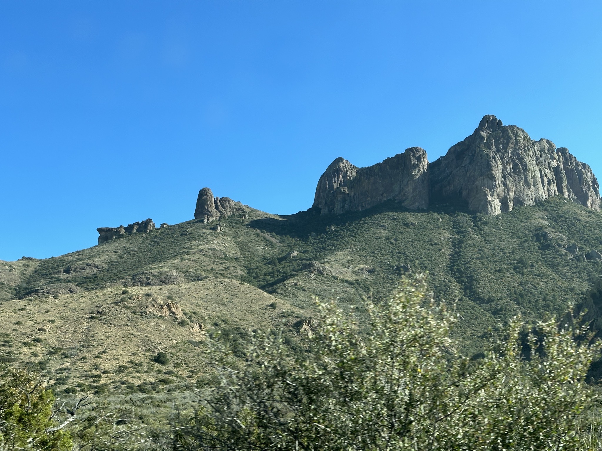 Window view trail