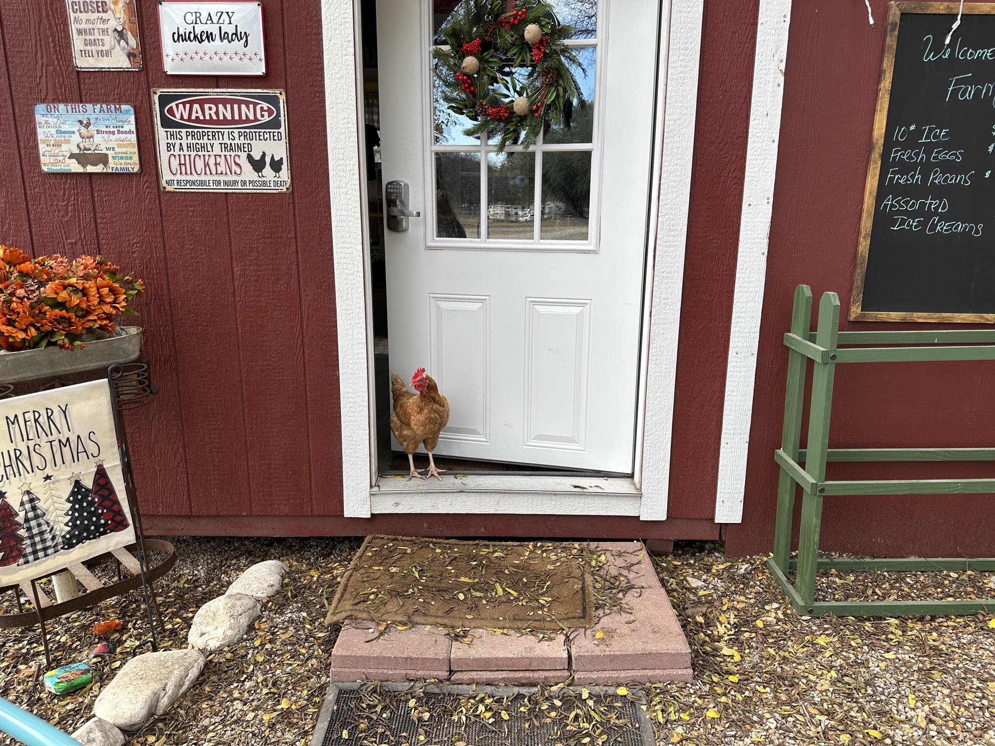 General store