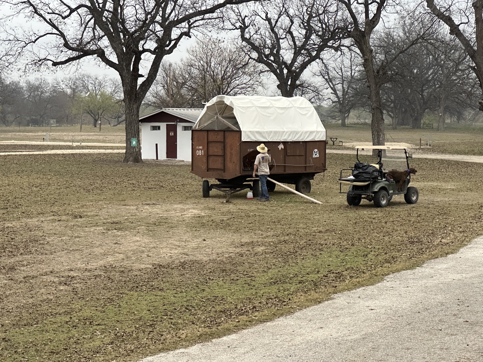 Opening chicken coop
