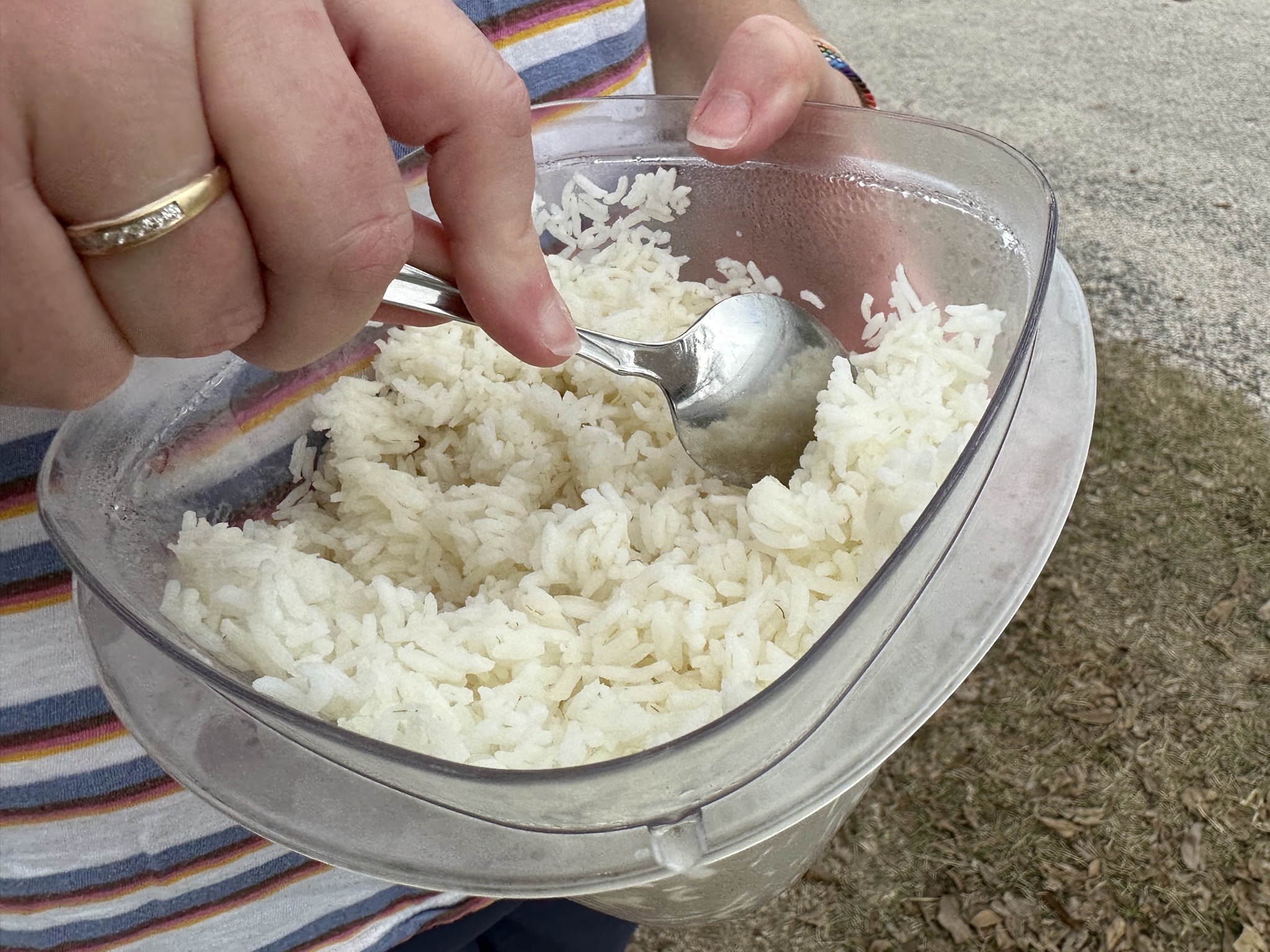 Rice