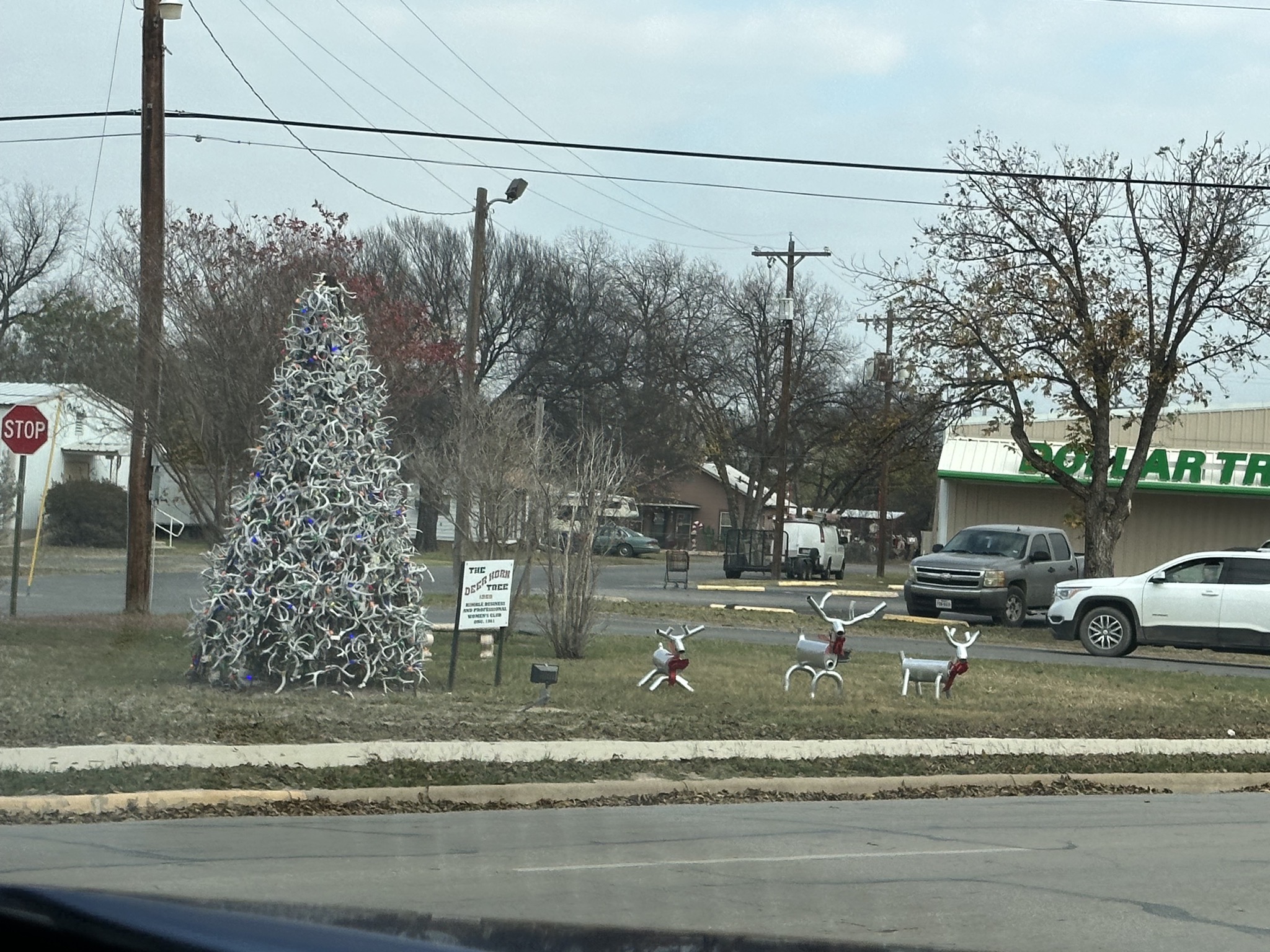 Deer Horn Tree