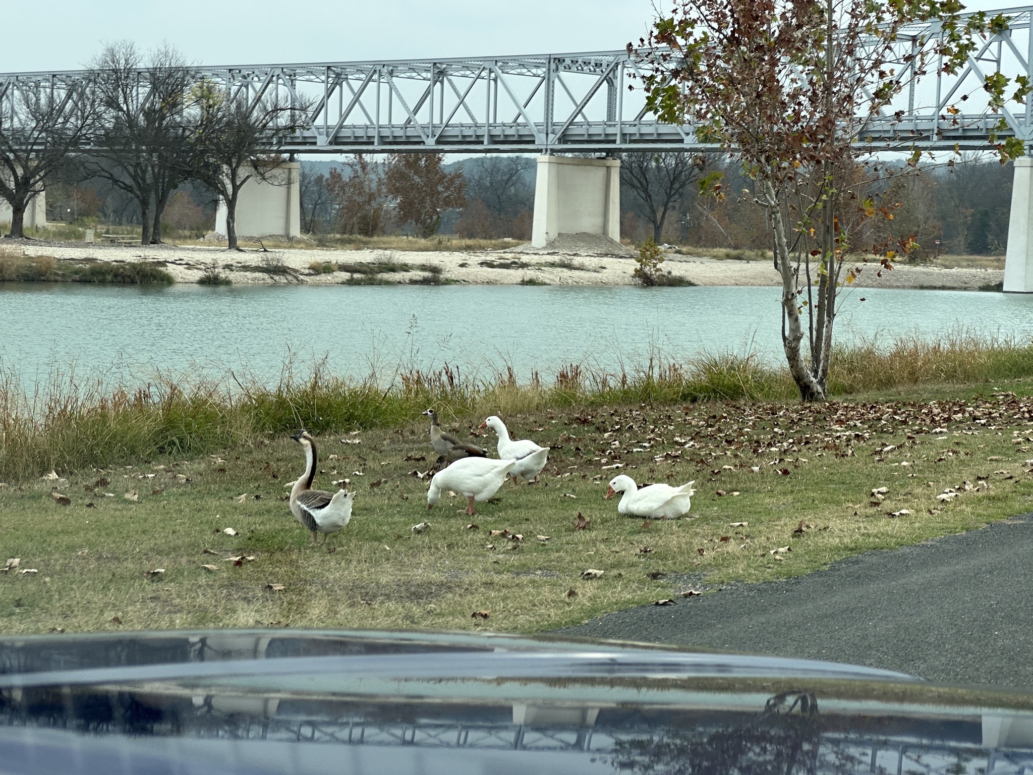 Junction, Texas