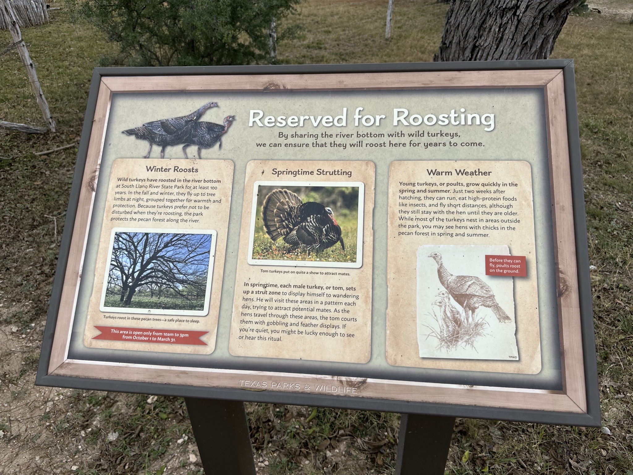 Info sign