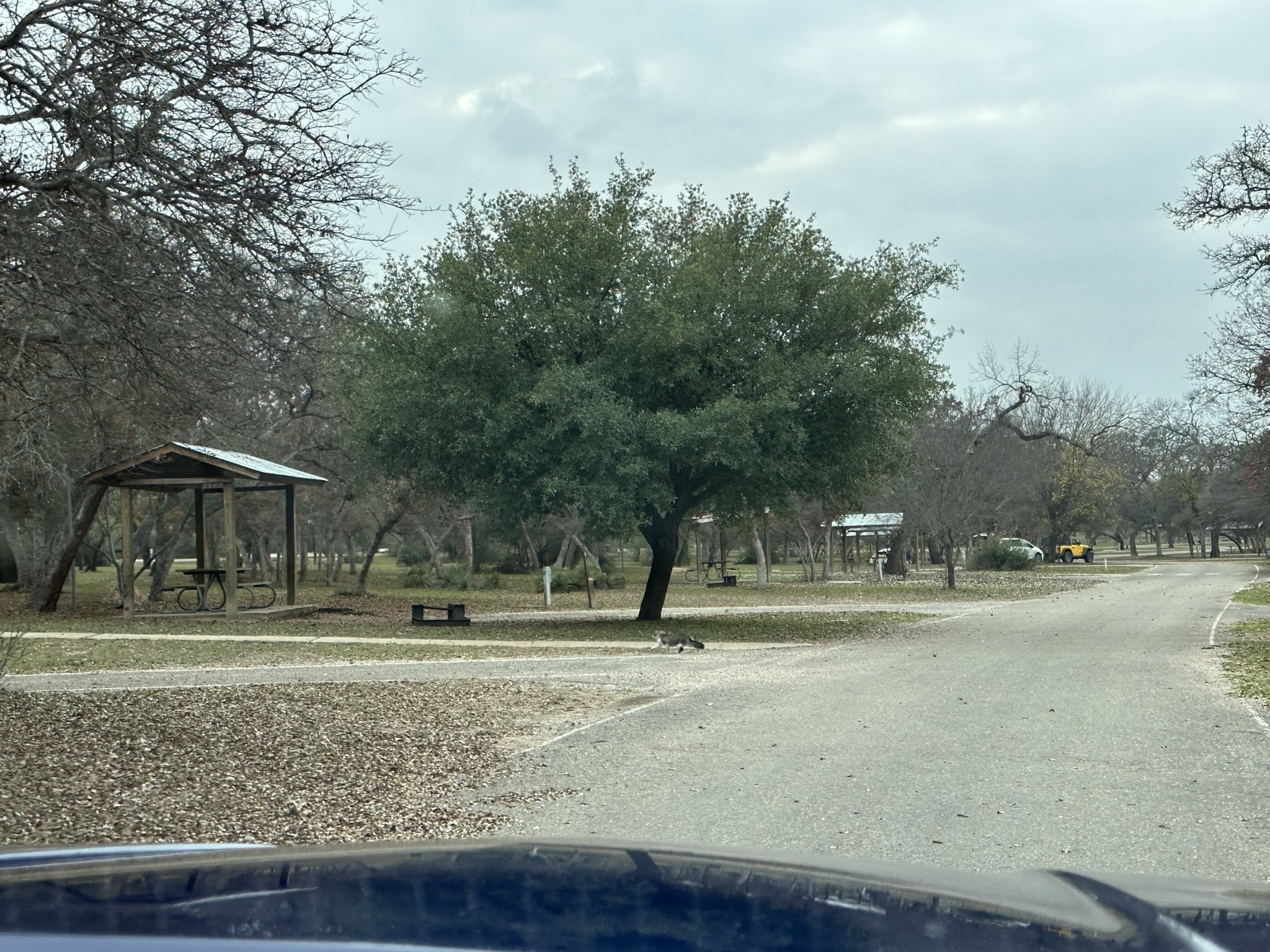 Campground