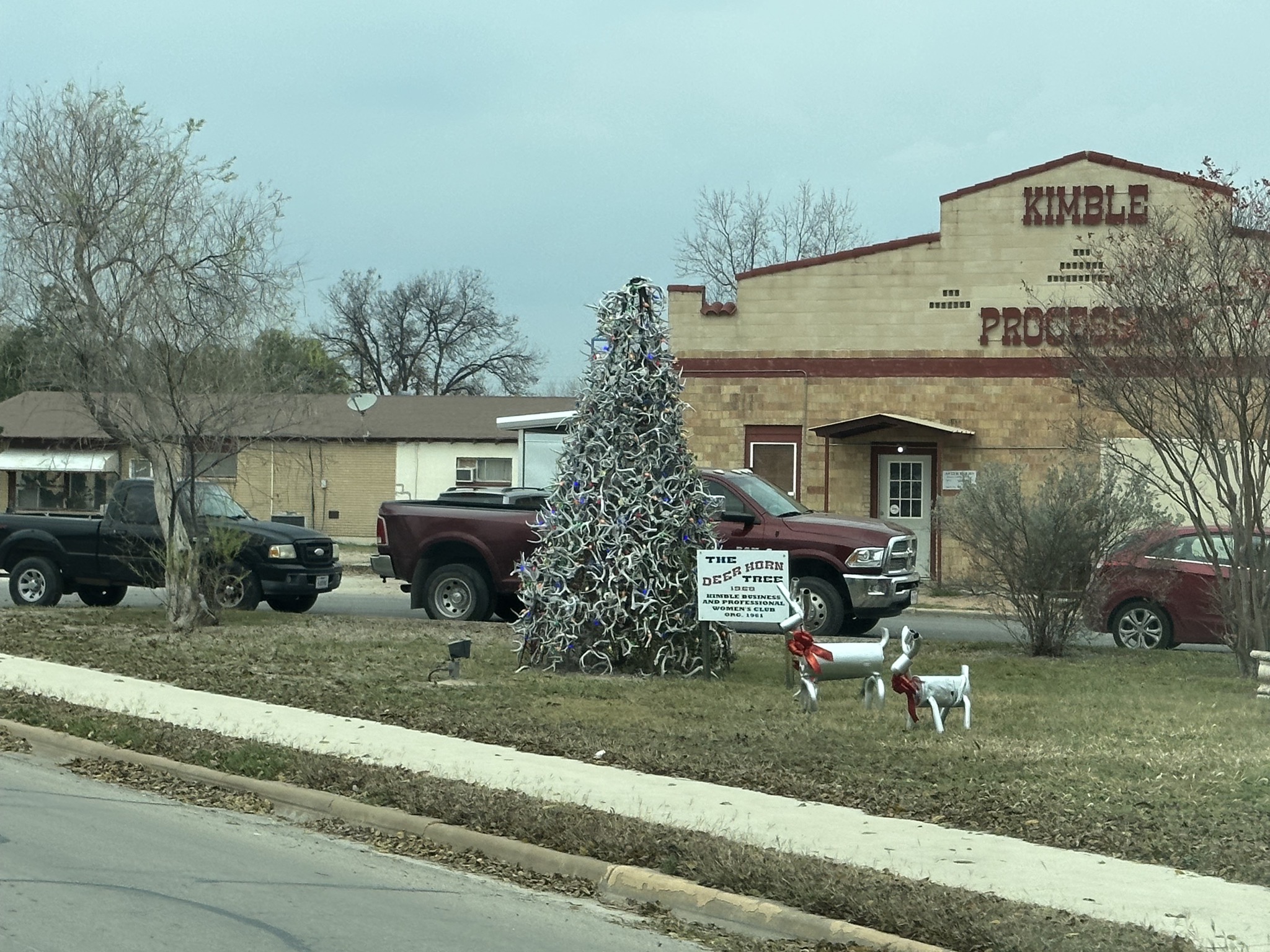Deer Horn Tree