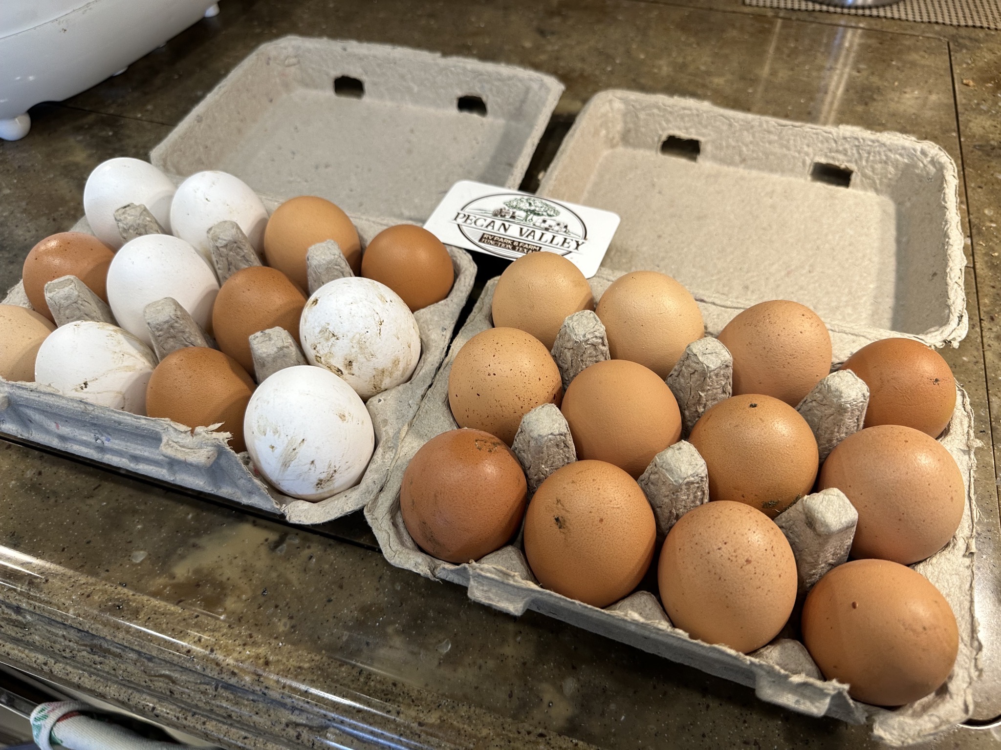 Eggs