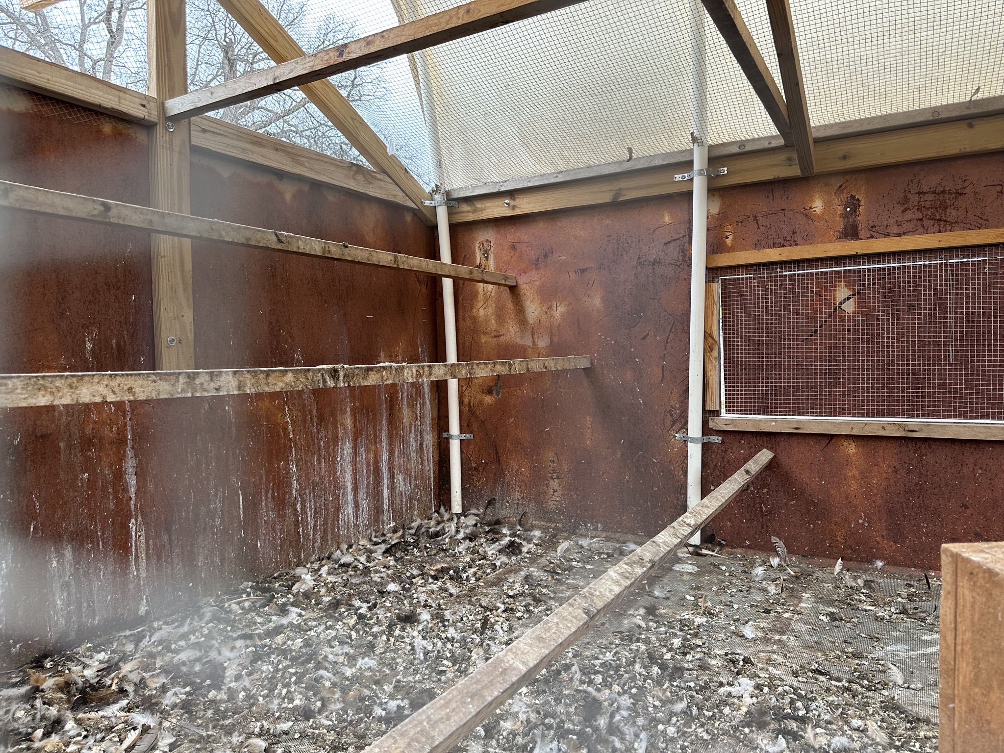Mobile chicken coop
