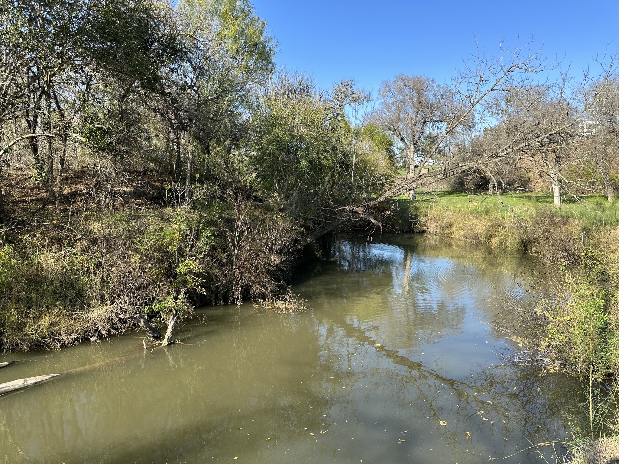 Stream