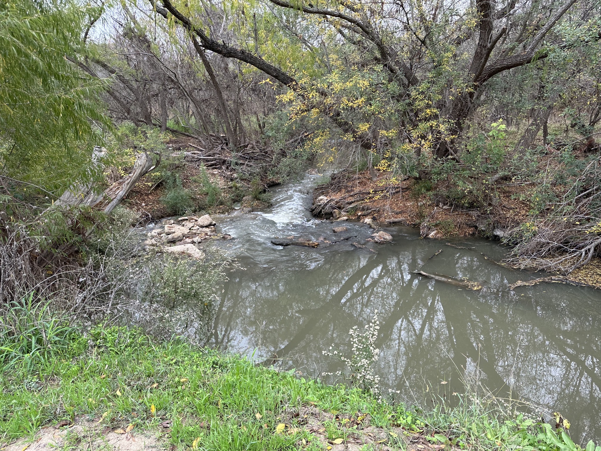 Stream