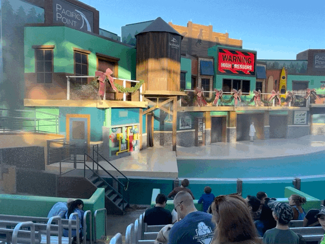 Sea lion show