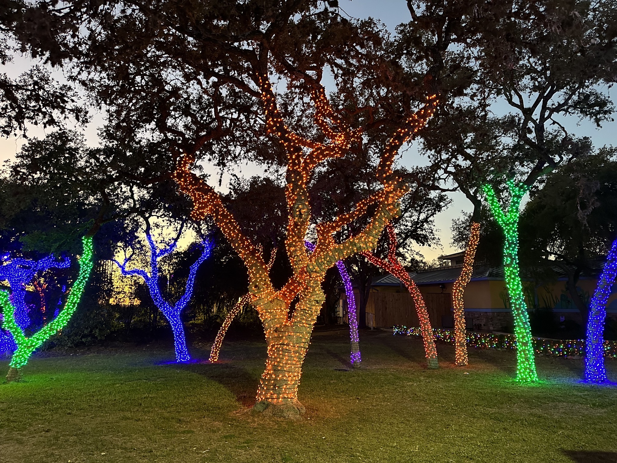Lights