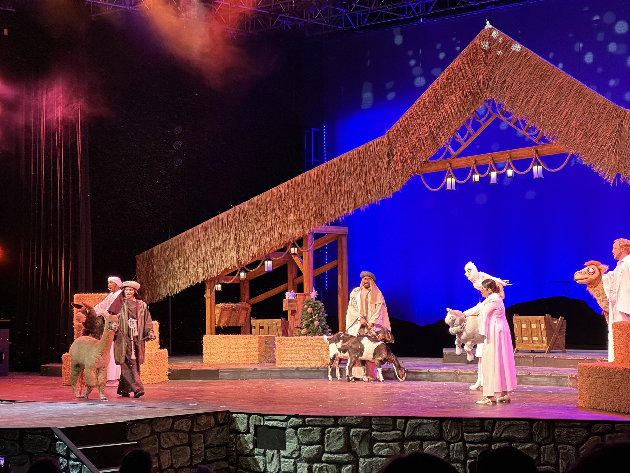 Nativity show