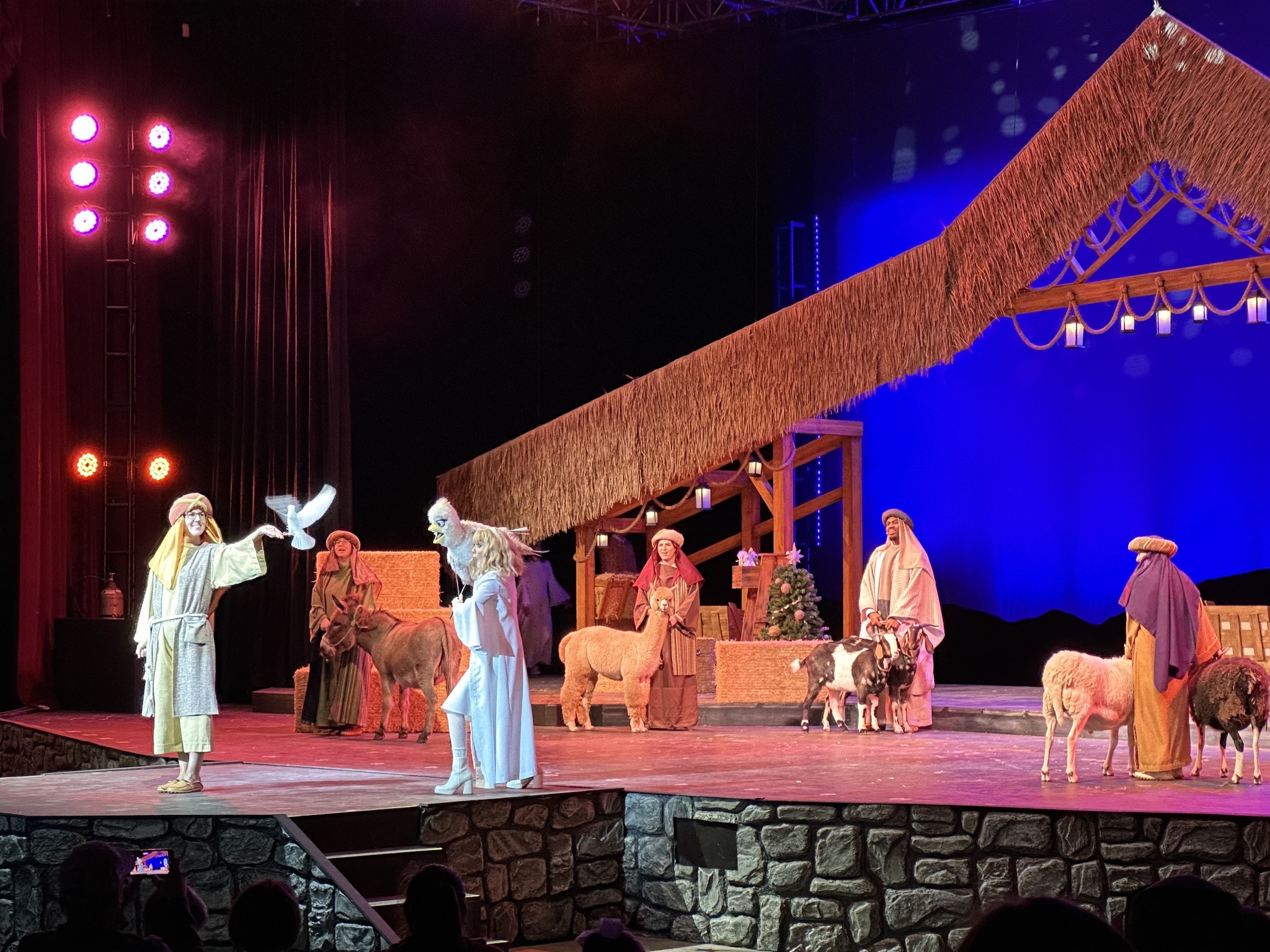 Nativity show