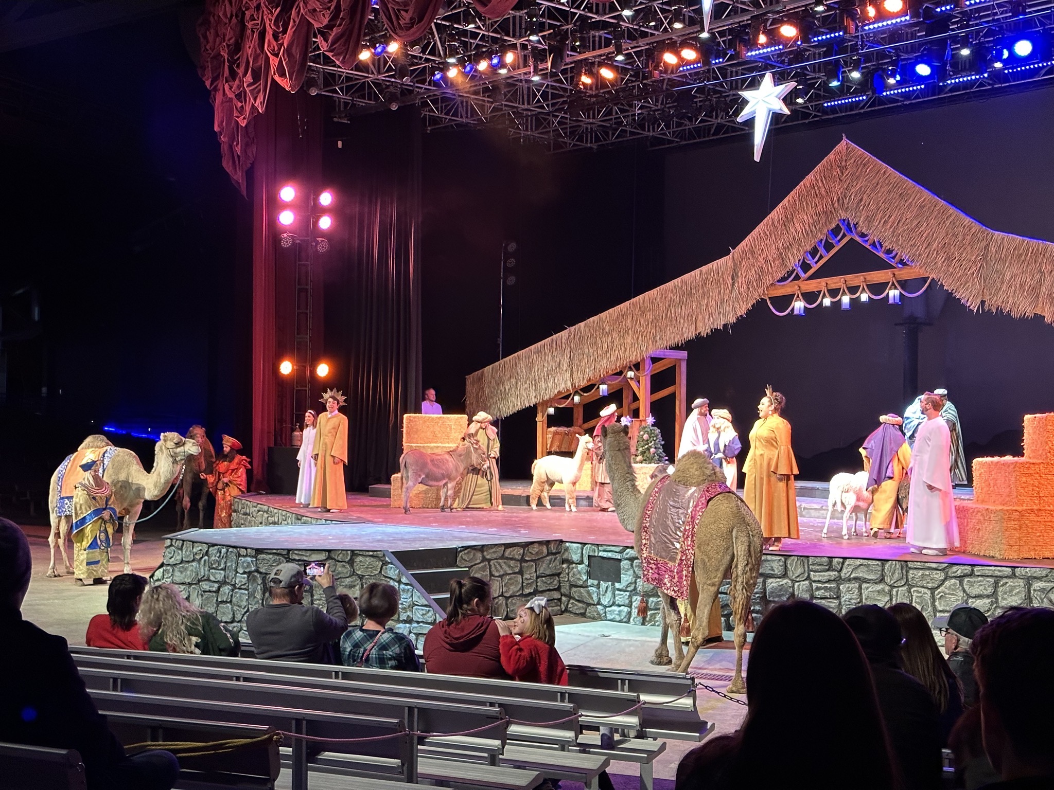 Nativity show