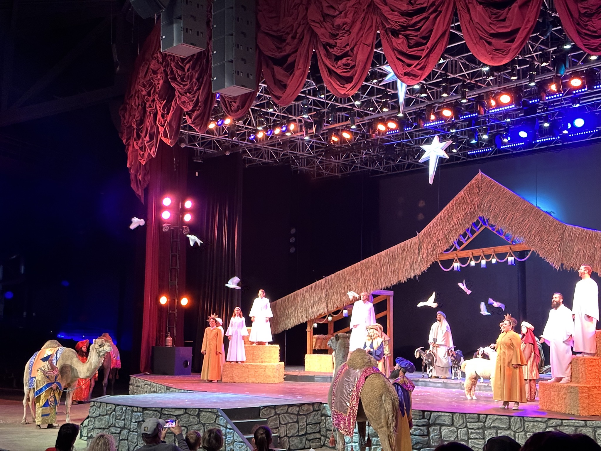 Nativity show