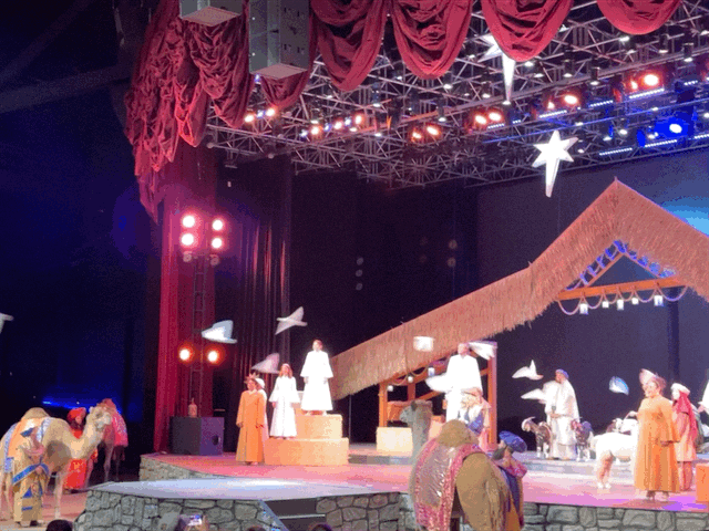 Nativity show